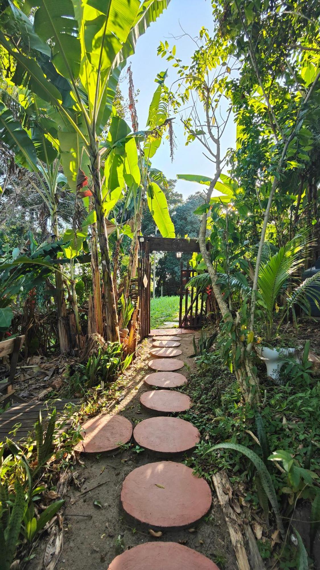 Eco Hostel Bosque Di Barro Velha Boipeba Zewnętrze zdjęcie